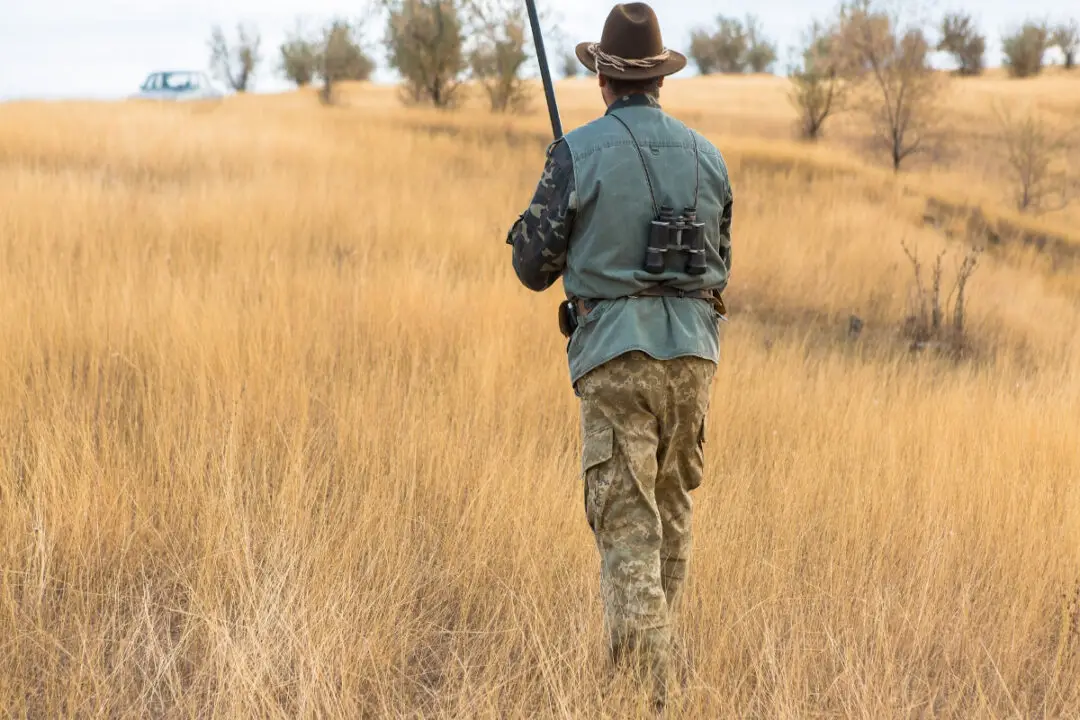 best hunting pants for brush