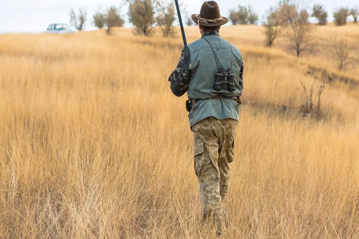 Best Brush Pants For Hunting