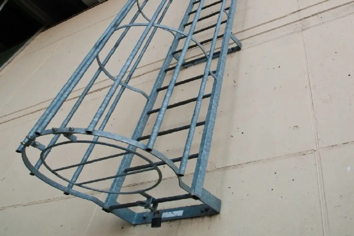 Fire escape ladder with cage