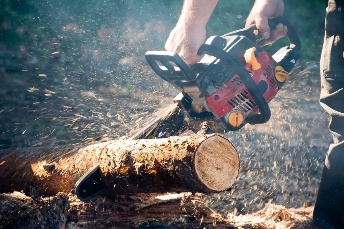 Chainsaw Cut Log