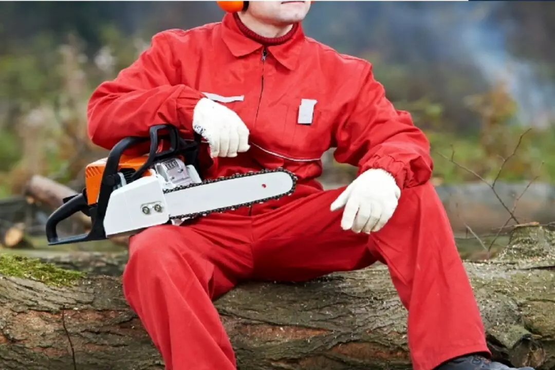 Chainsaw Safety Qualifications