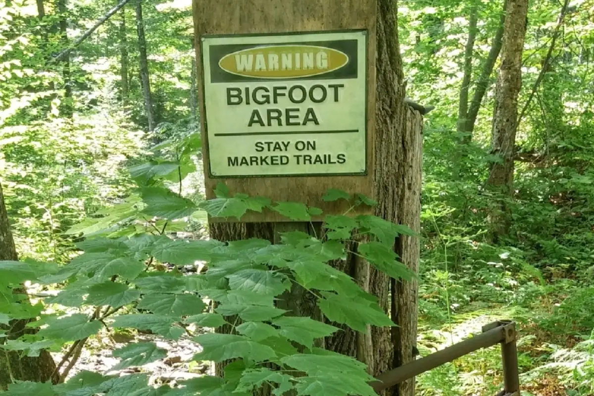 Bigfoot Area