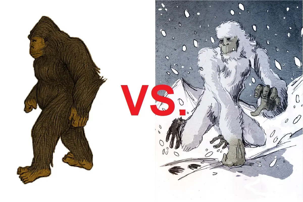 Bigfoot Vs. Yeti