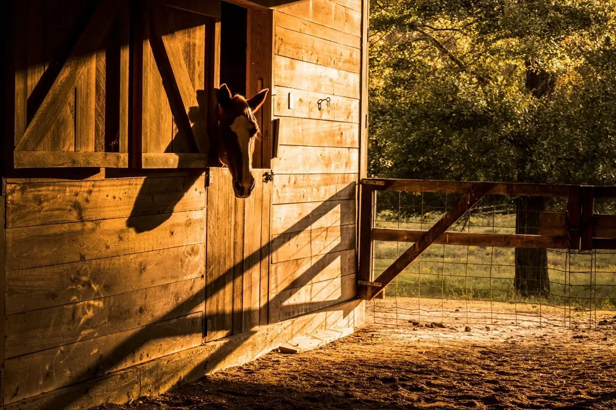 Rattlesnake Barn