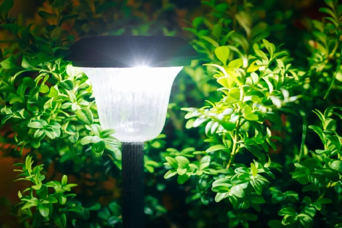 Solar Light