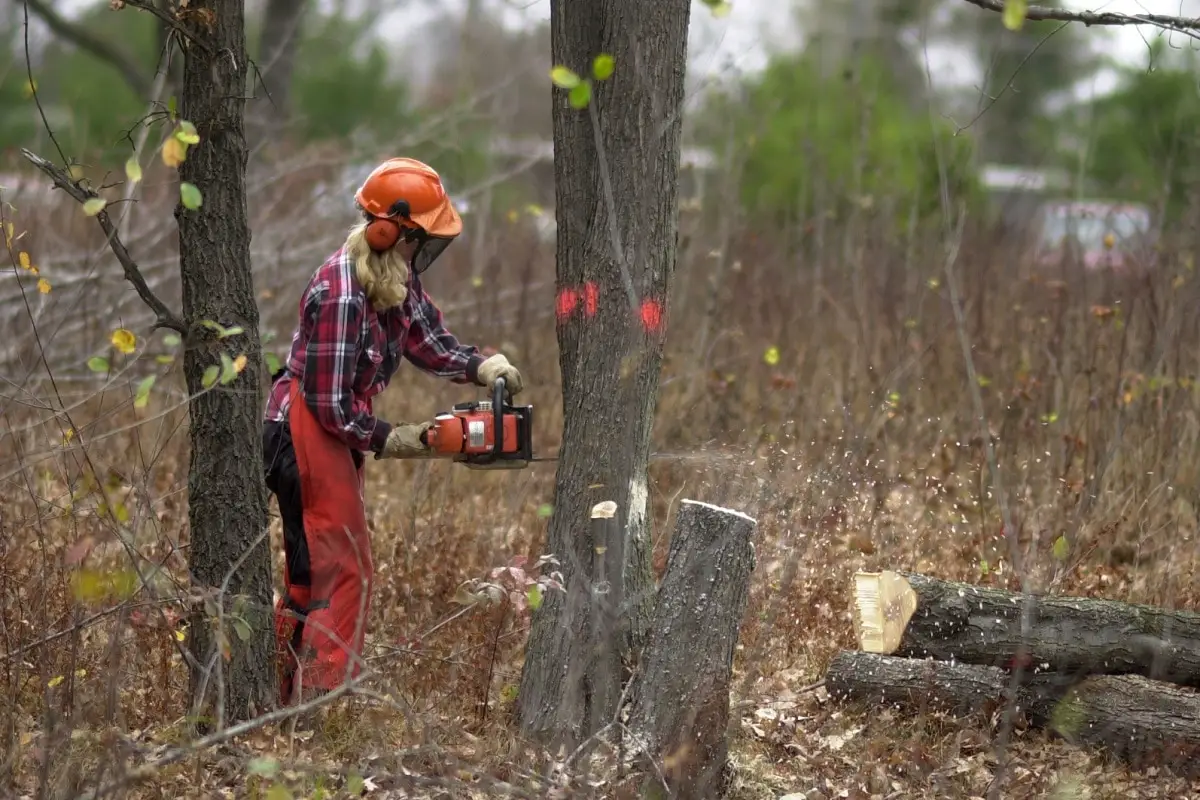 Chainsaw Chaps