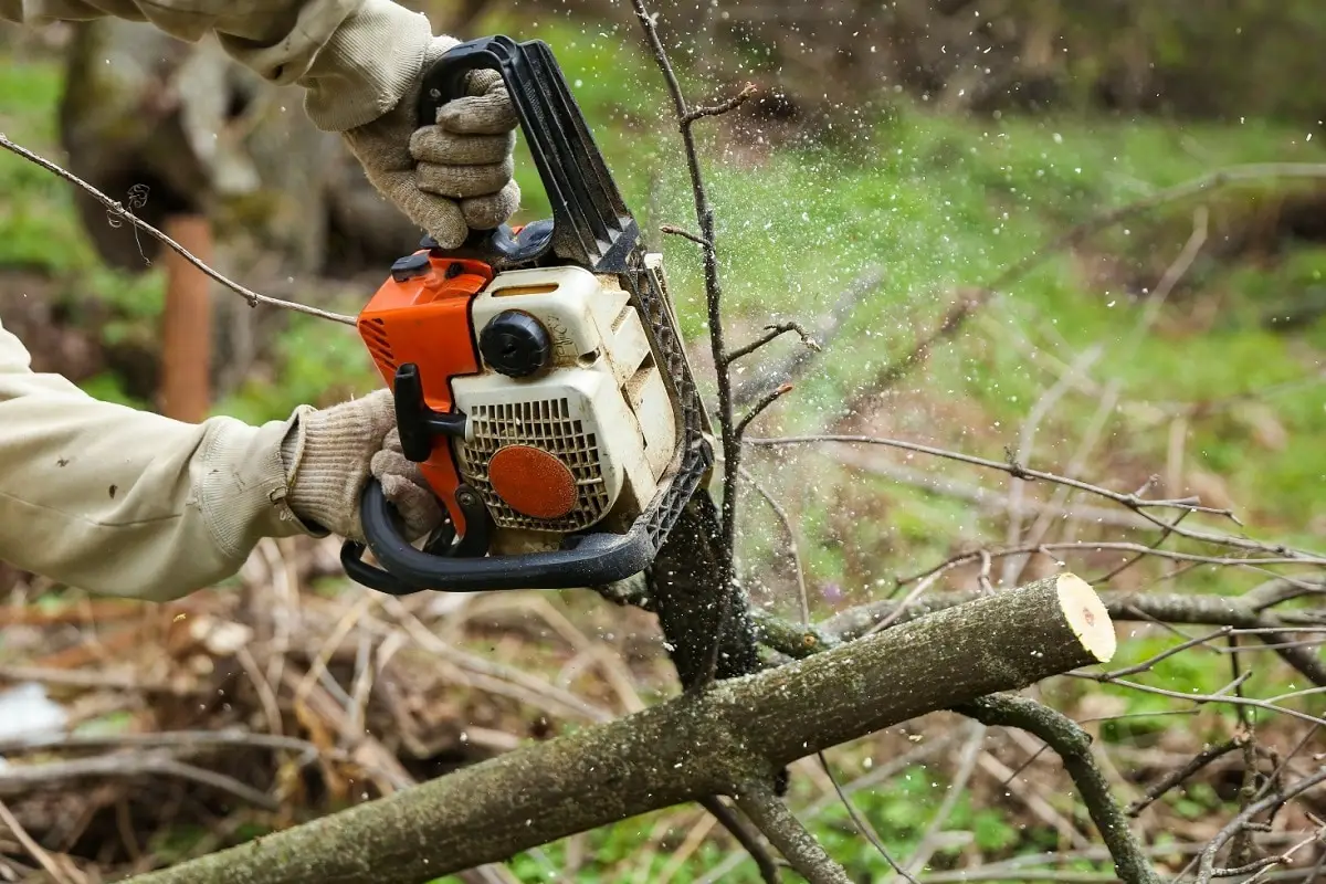 Chainsaw Cutting Ranch