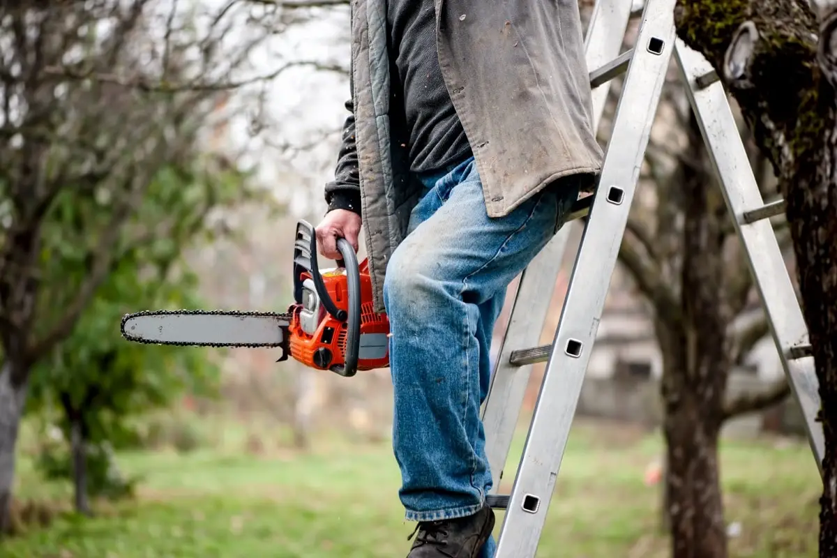 Chainsaw Ladder