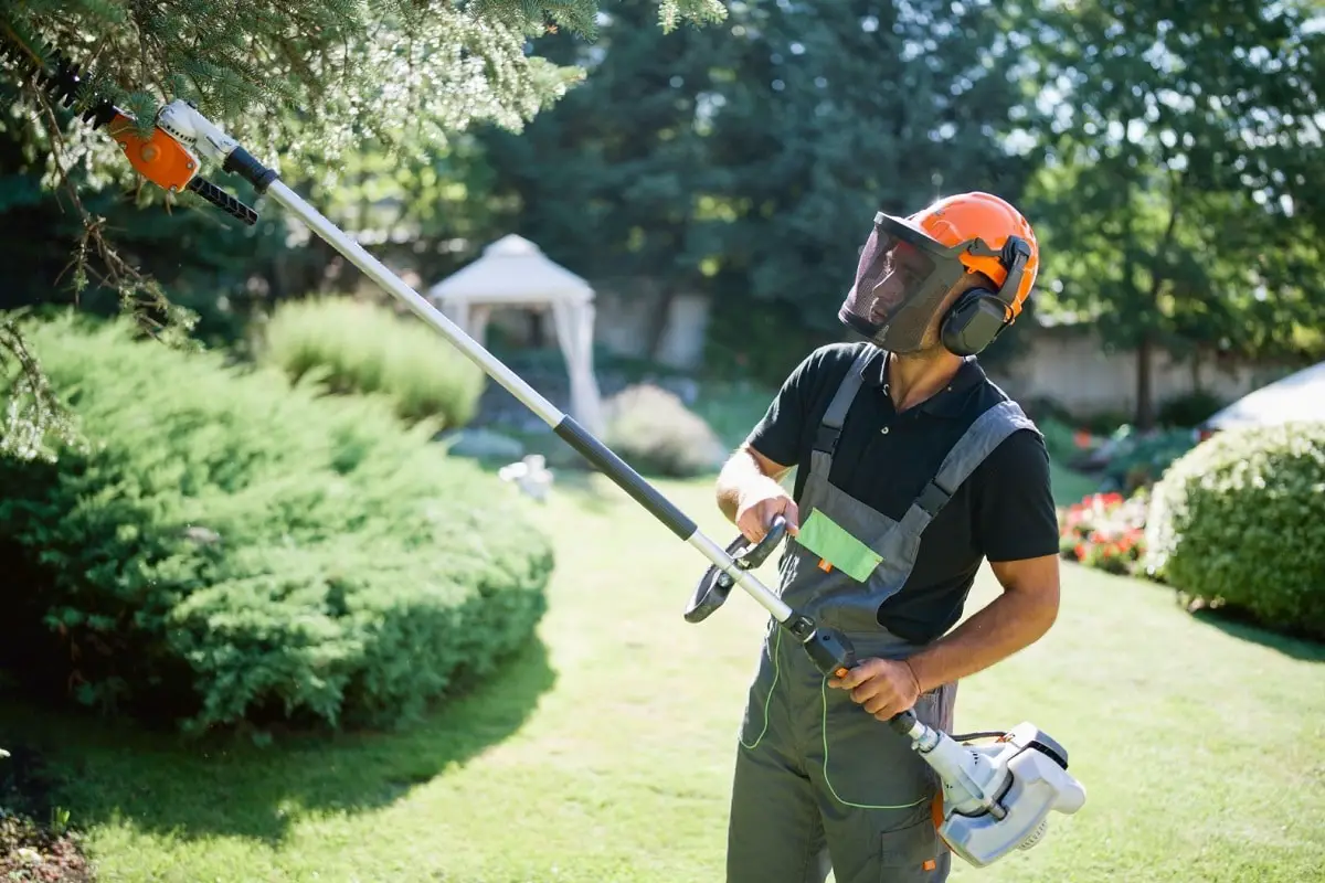 Chainsaw Pole Saw