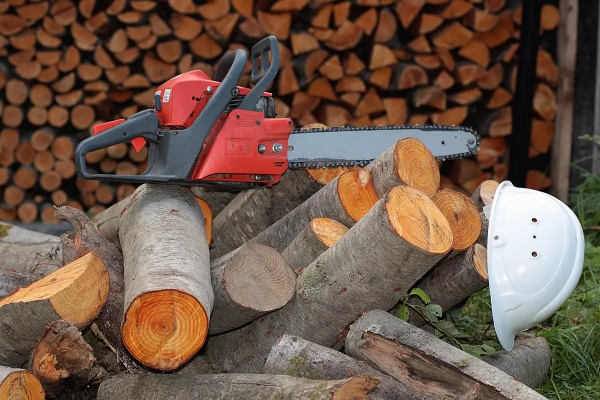 Chainsaw Wood Pile