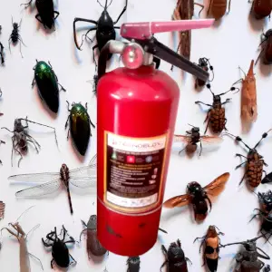 Fire Extinguisher Kill Insects