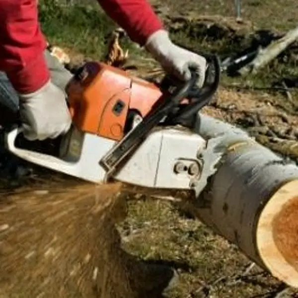 OSHA Requirements for Chainsaw Chaps