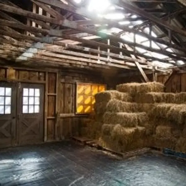 Are LED Lights Good For Barns?