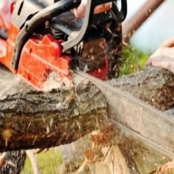 Protective Trousers vs. Chainsaw Chaps How Do They Stack Up