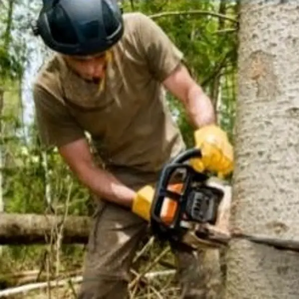 Is a Chainsaw Face Shield Mandatory?
