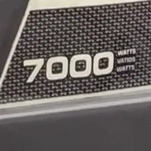 Briggs & Stratton 7000 Generator